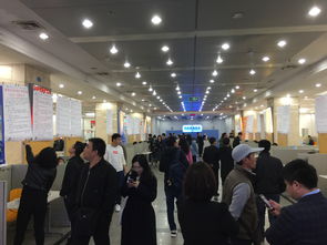 建筑英才网参加沈阳人才市场建筑专场招聘会